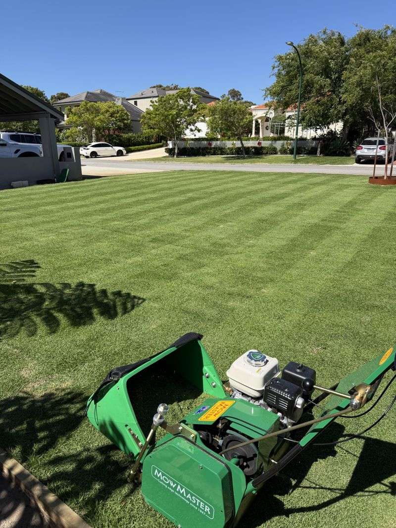 Topdress With Light Compost