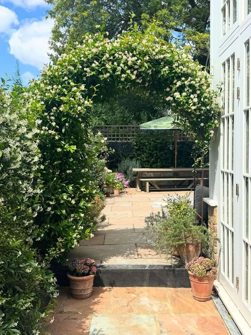 Train Star Jasmine Where It Can Be Pruned