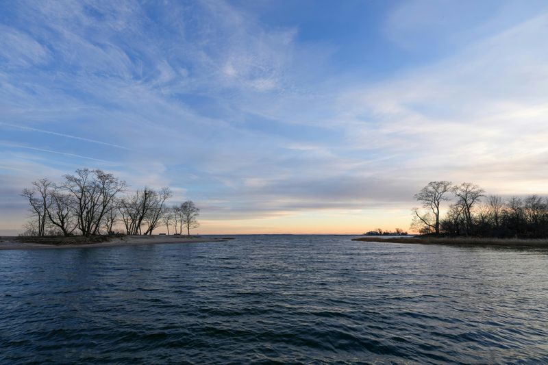 Tree Removal Near Tidal Waters Requires Chesapeake Bay Critical Area Approval