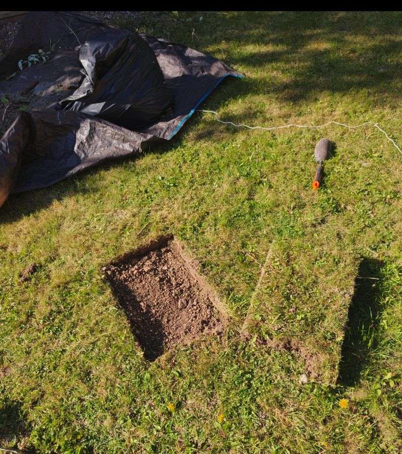 Turf Rebates Can Add Up By The Square Foot