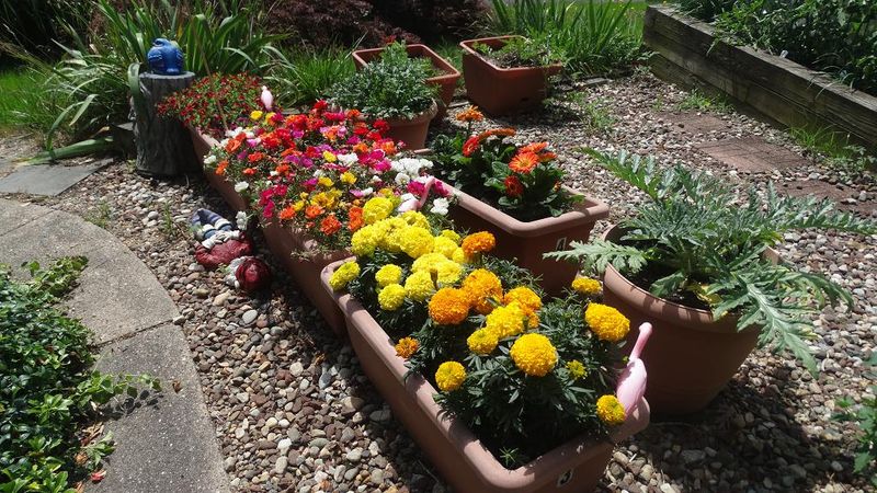 Turn Flower Beds Into Soil Recycling Zones Turn Flower Beds Into Soil Recycling Zones