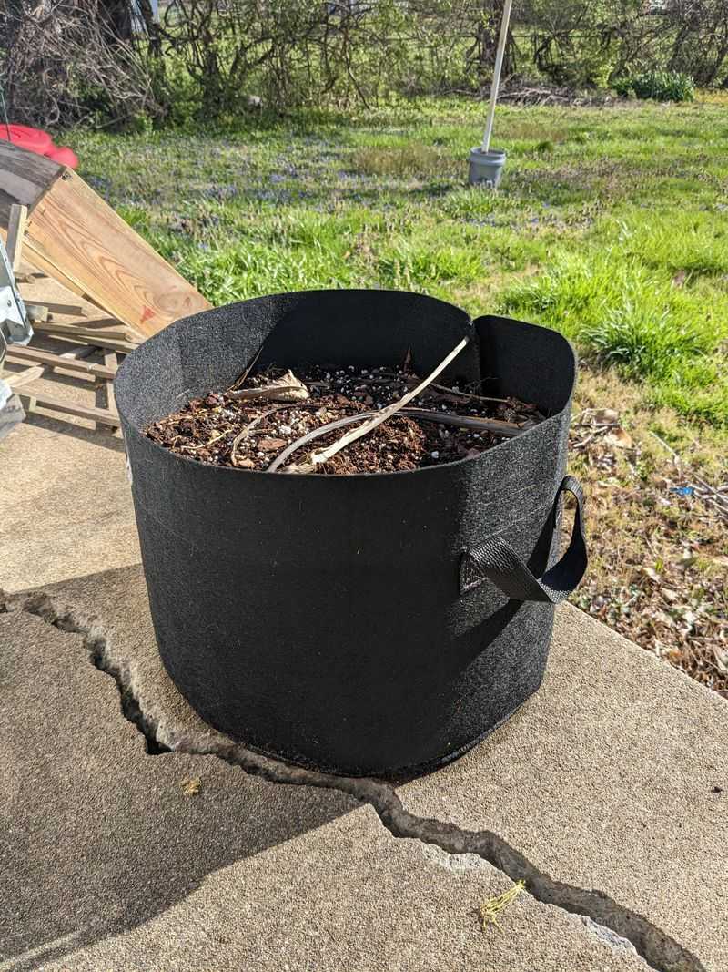 Use A Bigger Pot Than You Think You Need