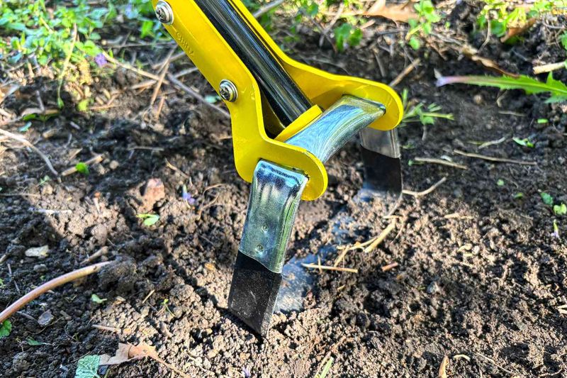 Use A Hula Hoe Or Action Hoe For Tiny Seedlings