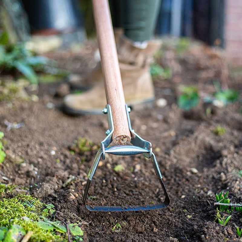 Use A Hula Hoe Or Stirrup Hoe For Surface Cultivation