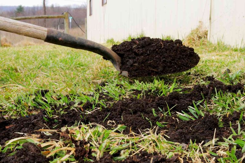 Use A Topdressing Mix, Not Straight Soil