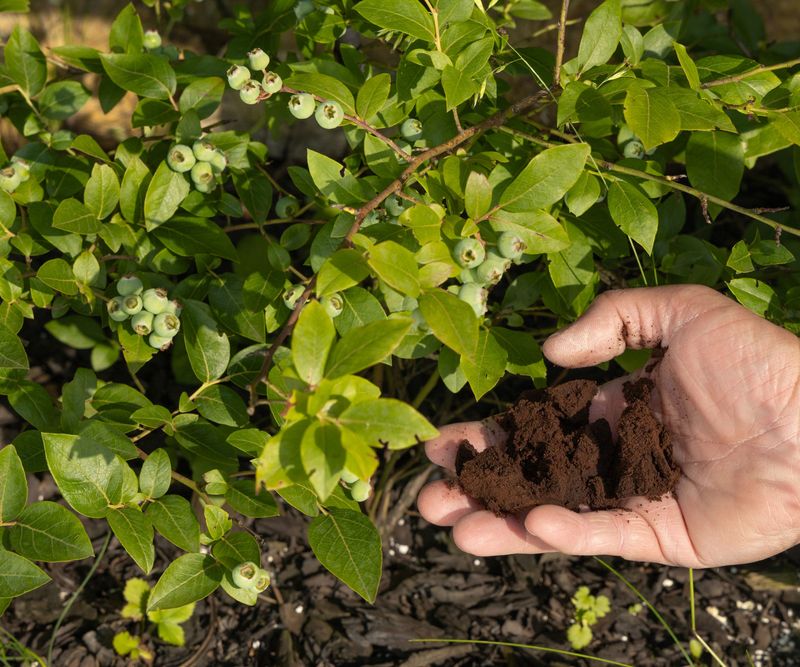 Use Around Plants That Tolerate Slightly Acidic Soil