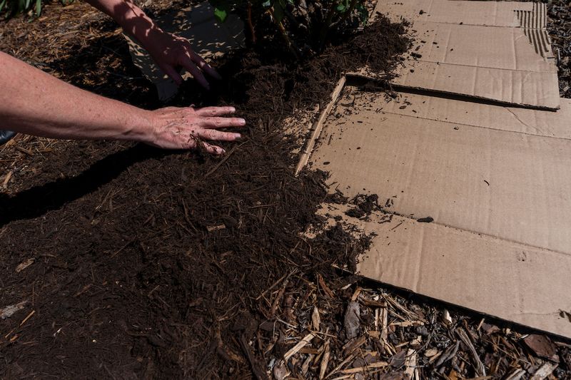 Use Cardboard In Very Weedy Beds Use Cardboard In Very Weedy Beds