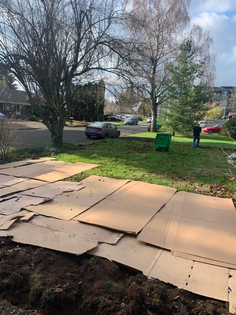 Use Cardboard Sheet Mulching In New Beds