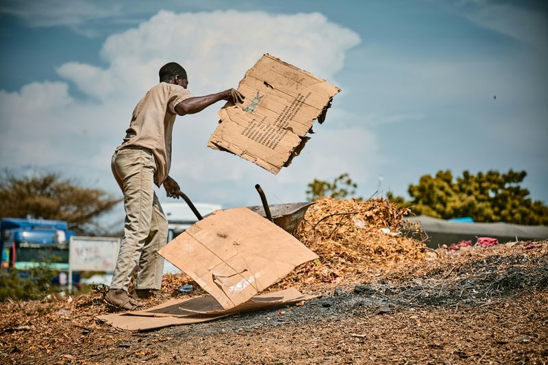 Use Cardboard Sheet Mulching
