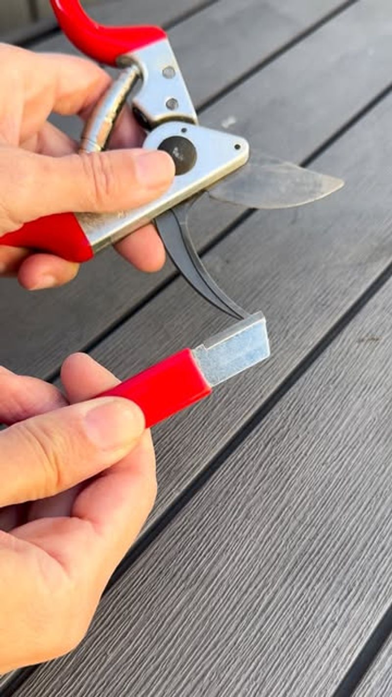 Use Clean, Sharp Tools