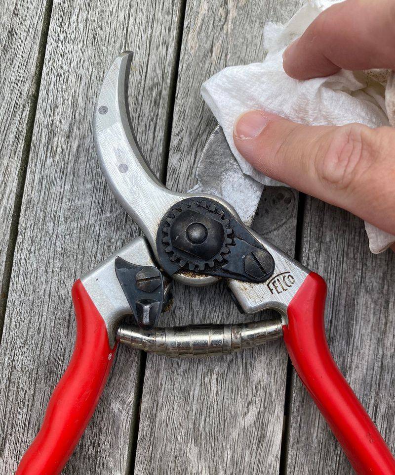 Use Clean Shears Before Making Any Cuts