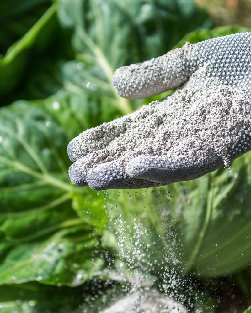 Use Clean Wood Ash Only Where Soil Needs A Lift