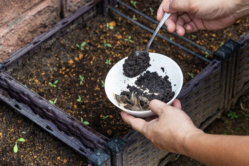 Use Coffee Grounds In Thin Layers Instead Of Piling Them Up