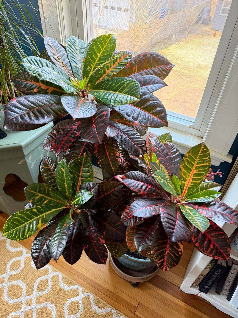 Use Containers In Cooler Florida Areas