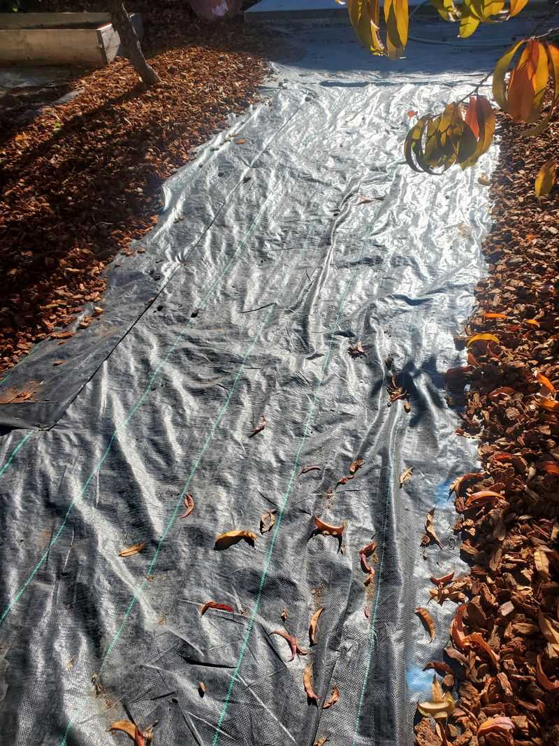Use Landscape Fabric The Right Way