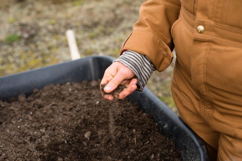 Use Local Topsoil As The Main Base Use Local Topsoil As The Main Base