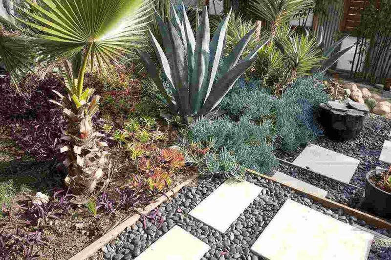 Use Native And Florida-Friendly Plants In Smarter Spots