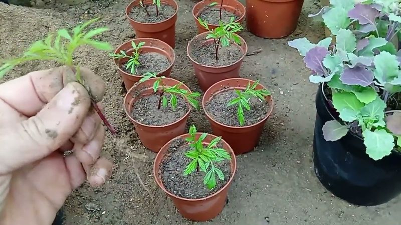 Use Short Outdoor Sessions First
