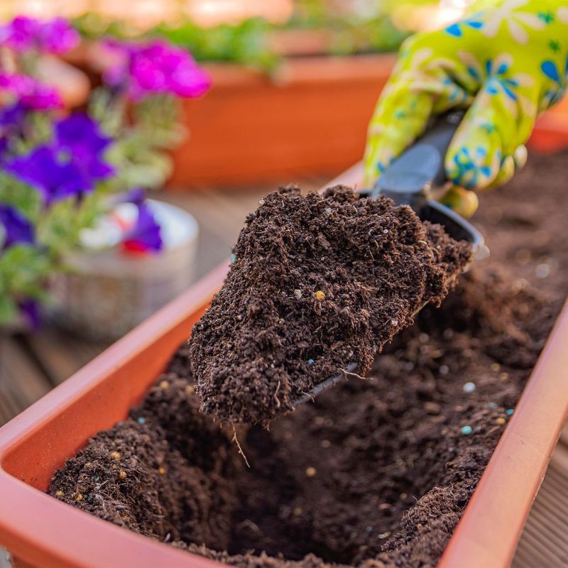 Used Potting Soil Makes A Good Base Layer In Large Outdoor Containers Used Potting Soil Makes A Good Base Layer In Large Outdoor Containers