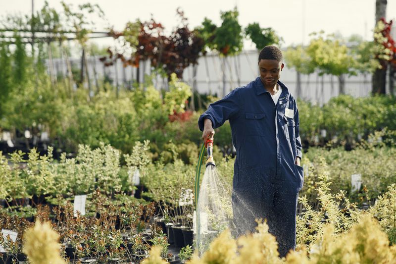 Using A One-Size-Fits-All Watering Schedule