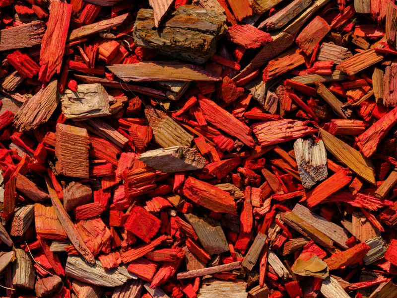 Using Dyed Or Treated Mulch Near Edible Plants