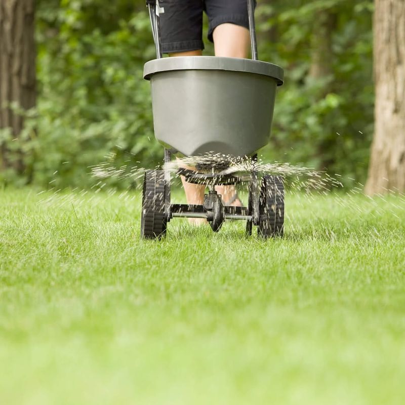 Using Pesticides Improperly Using Pesticides Improperly
