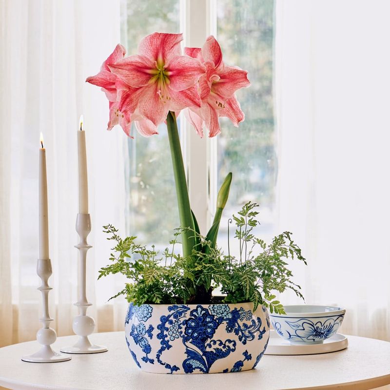 Using Pots Without Drainage