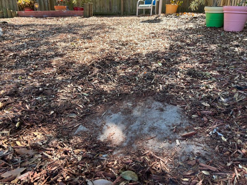 Using The Same Mulch Year After Year Without Refreshing The Bed Using The Same Mulch Year After Year Without Refreshing The Bed