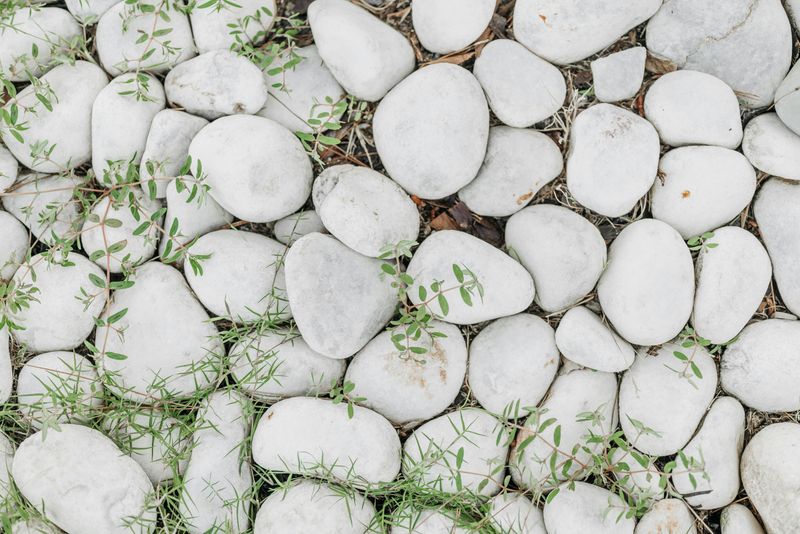 Using Too Much Decorative Rock Using Too Much Decorative Rock