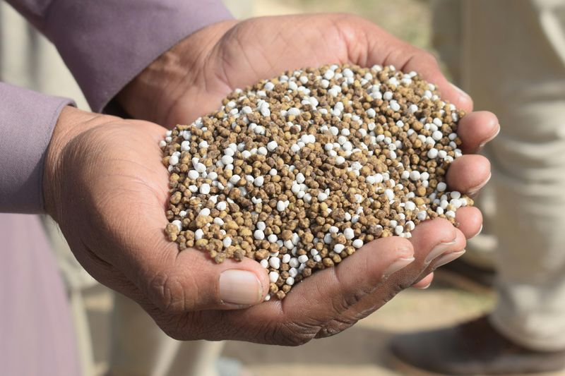 Using Too Much Nitrogen Fertilizer