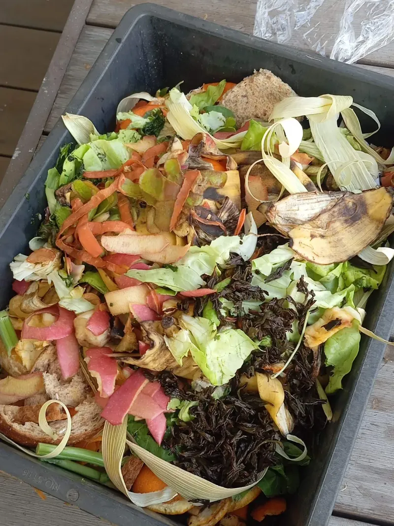 Vegetable Scraps