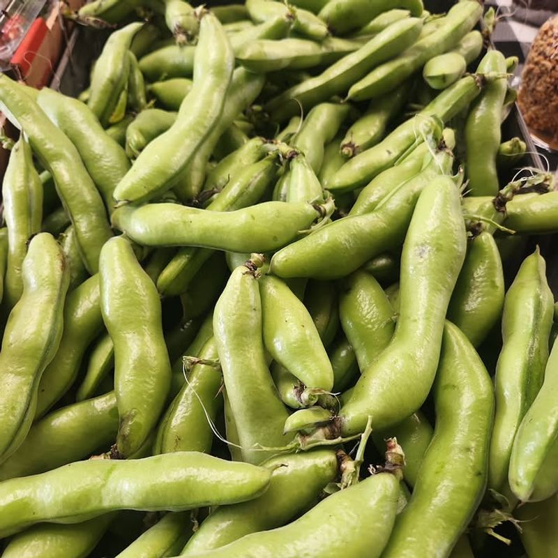 Vegetables Oregon Homeowners Are Surprised They Can Grow In Their Backyards