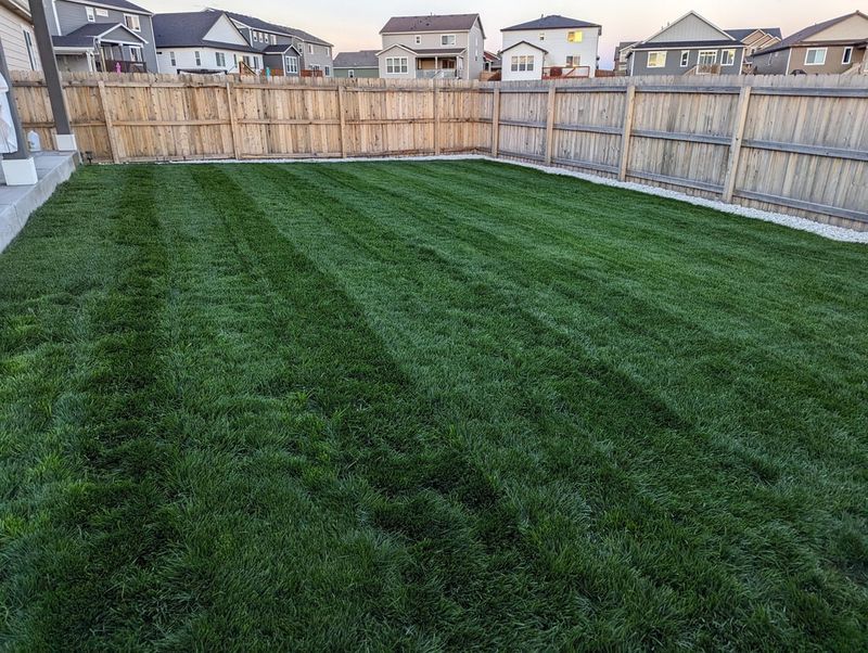 Wait Before Mowing Again