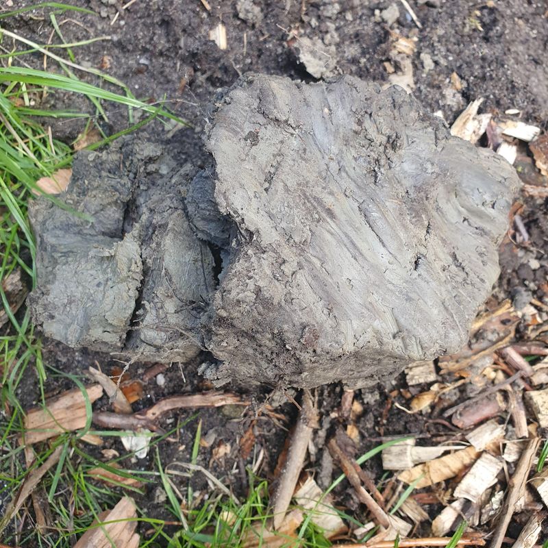Wait On Wet Clay To Avoid Compaction