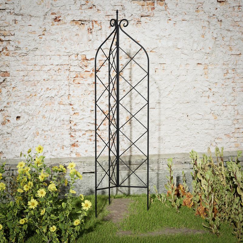 Metal Obelisk Trellis Adds Height To Containers