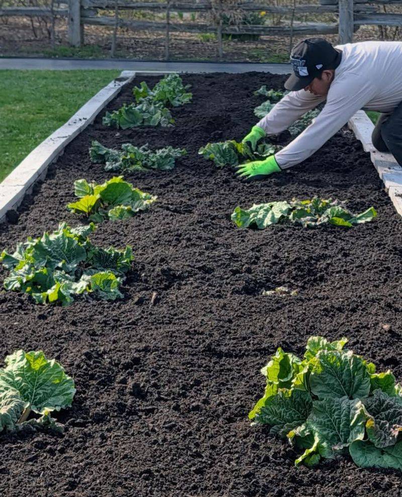 Warm Days Can Fool Gardeners