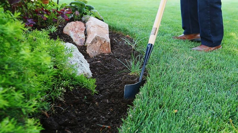 Watch Bed Edges For Creeping Weeds