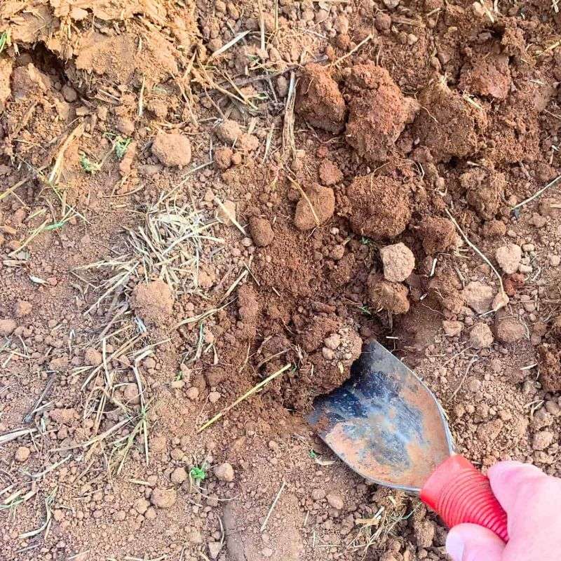 Watch Ohio Clay Hold Water Around The Roots