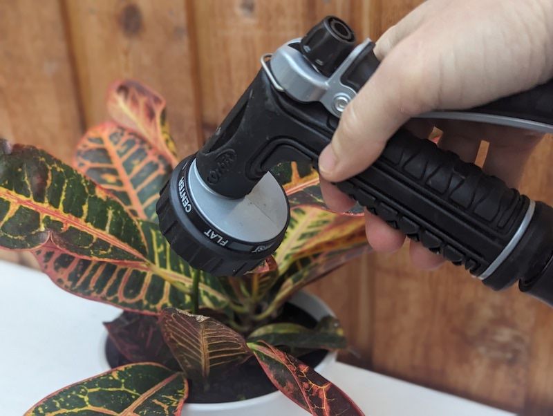 Water Before Heat Stress Causes Drooping