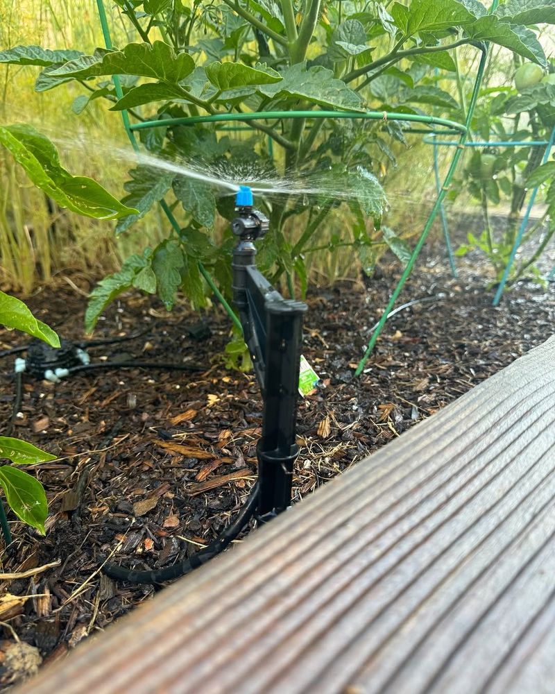 Water Deeply And Check Irrigation