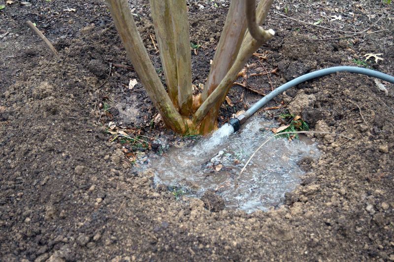 Water Deeply During Dry Spells