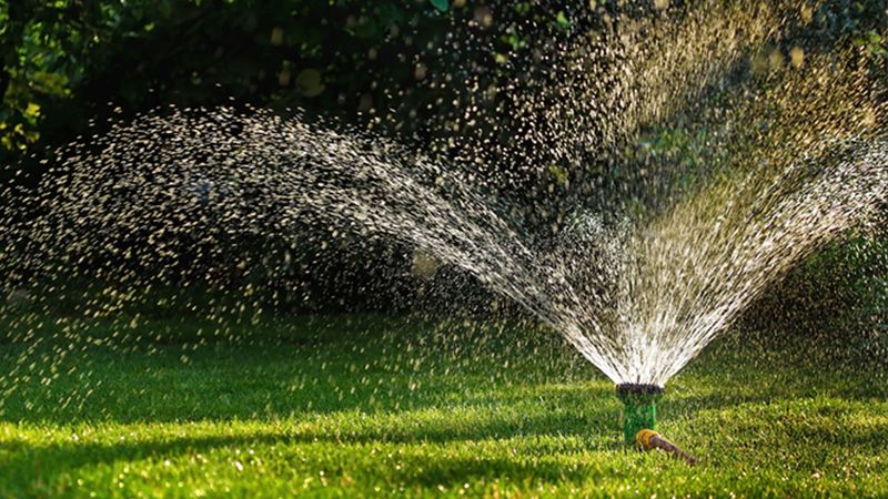 Water Drought-Stressed Turf The Right Way