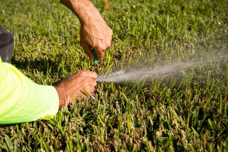 Water Lightly And Let The Grass Grow Through