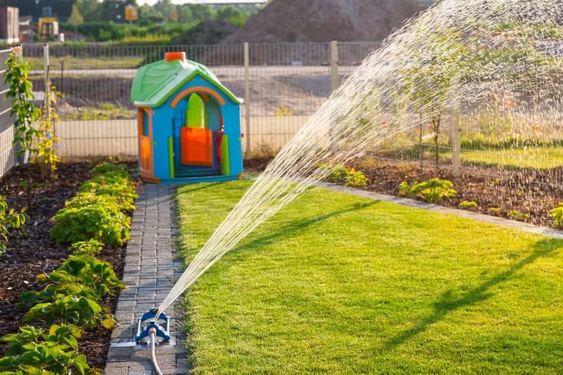 Water New Sod Often Without Keeping It Soggy