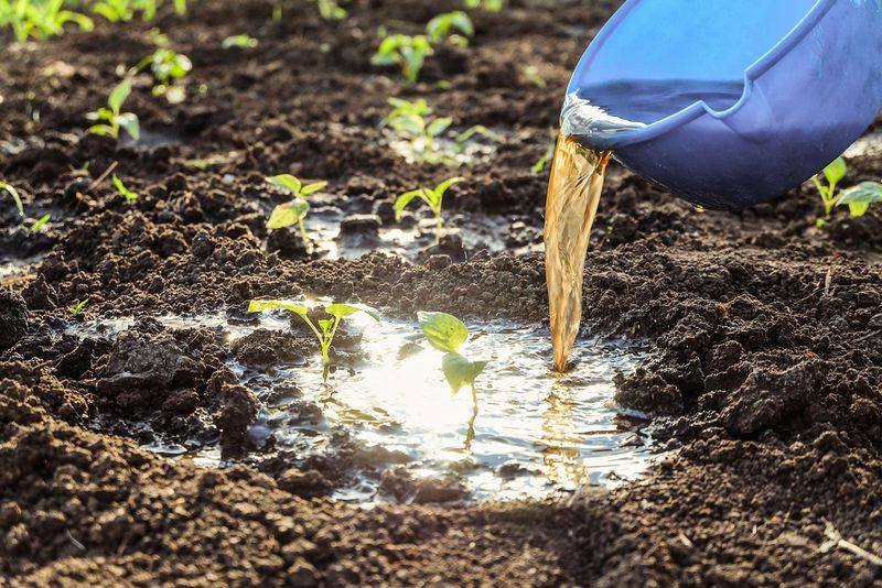 Water Runs Off Instead Of Soaking Into The Soil