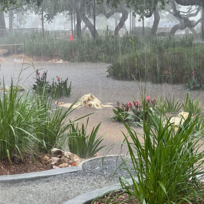 Watering After Rainfall