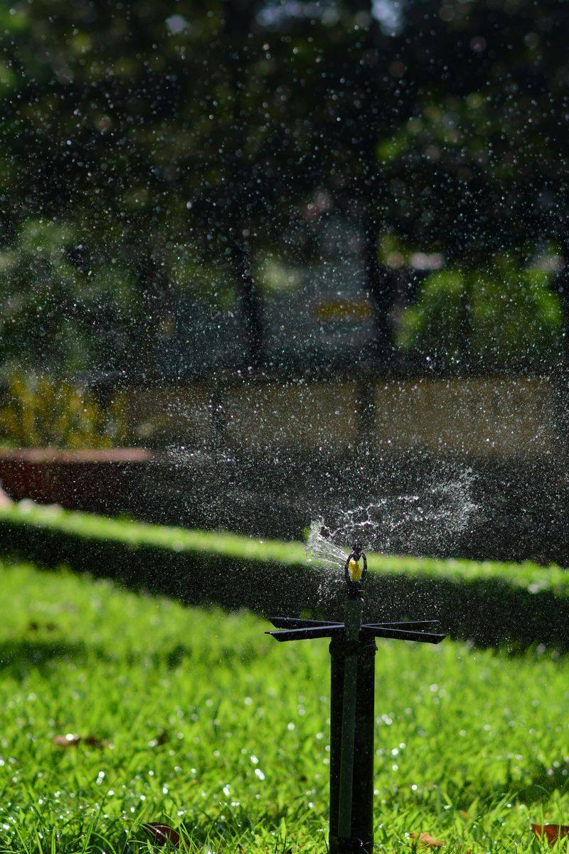 Watering Every Day Instead Of Watering Smart