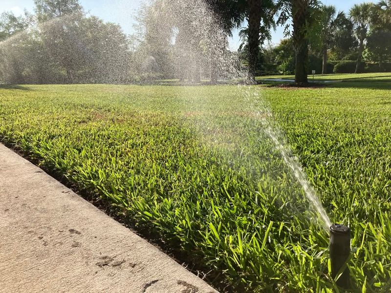 Watering Helps Fresh Soil Settle Into Low Areas