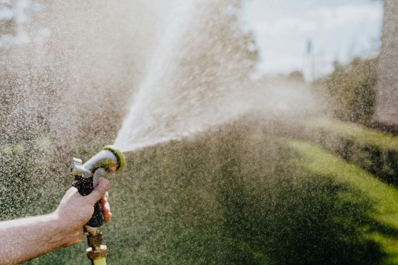Watering Inconsistently During Dry Spells