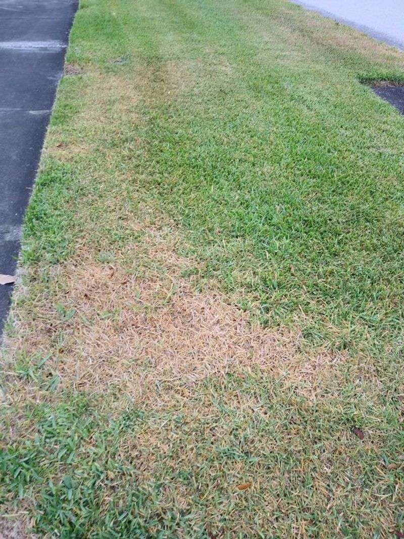 Watering Too Lightly